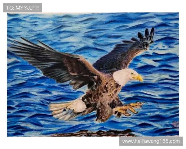 喷气机与凤凰的巅峰对决谁能在天空中翱翔得更高更远