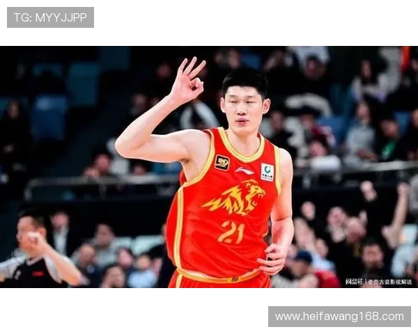 胡金秋:从青年才俊到篮球巨星的成长之路与未来展望